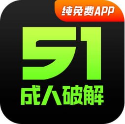 新51破解